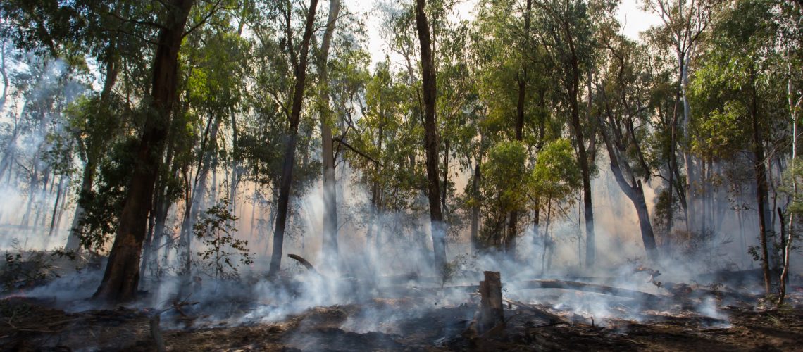 A controlled fire burn occurs near Whitfield in the King Valley, Victoria, Australia